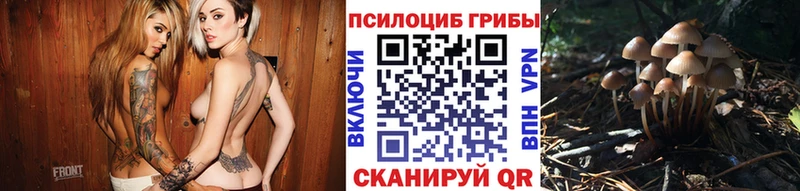 Купить  Минеральные Воды  Псилоцибиновые грибы GOLDEN TEACHER 